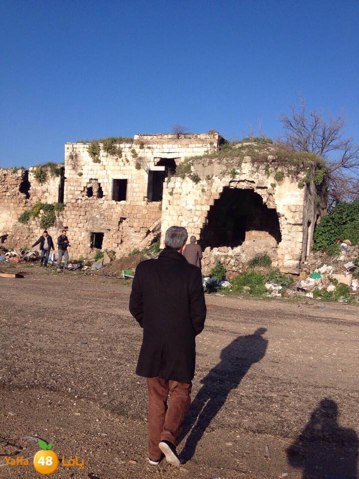 wafd turkeywqj (6).jpg